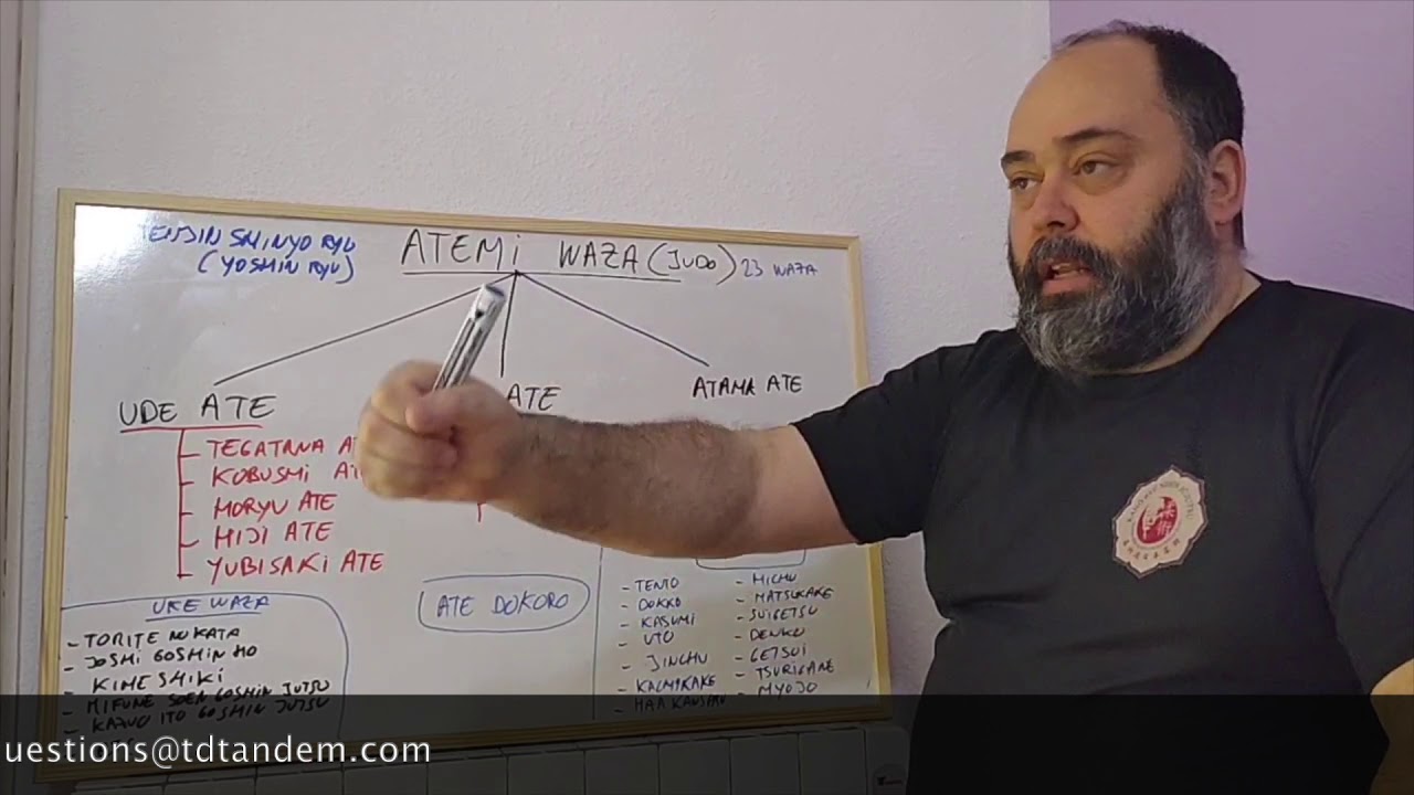 ATEMI WAZA EN JUDO