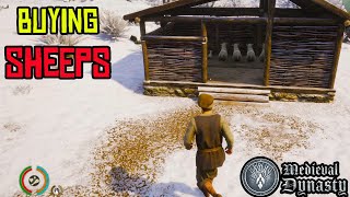 How to Buy Sheeps For your Village in Medivaal Dyanasty
