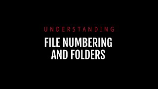 Understanding File Numbers and Folders screenshot 4