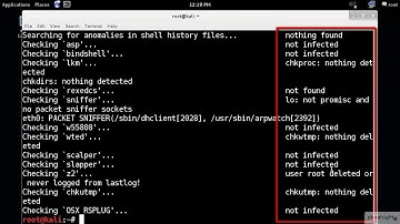 Scan Your System for Rootkits ｜ Installing and Configuring Kali Linux