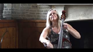 Levitating Dua Lipa Electric Cello Cover