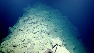 Rov Hercules Dive Na108-H1754-20190605T2309Utc-241