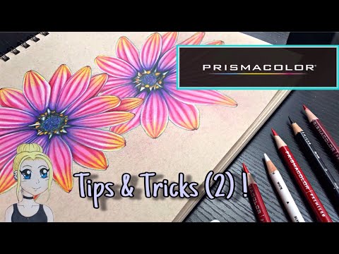 Prismacolor Colored Pencils ~ Tips & Tricks 2!