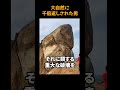 大自然に千倍返しされた男
