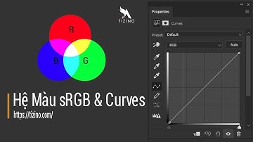 Hệ Màu sRGB & Hướng Dẫn Sử Dụng Công Cụ Curves Trong Blend Màu l Tizino Academy