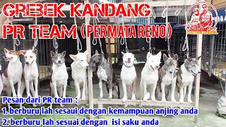 AKHIR NYA BISA JUGA GREBEK KANDANG PR TEAM SI ABANG BUCEK