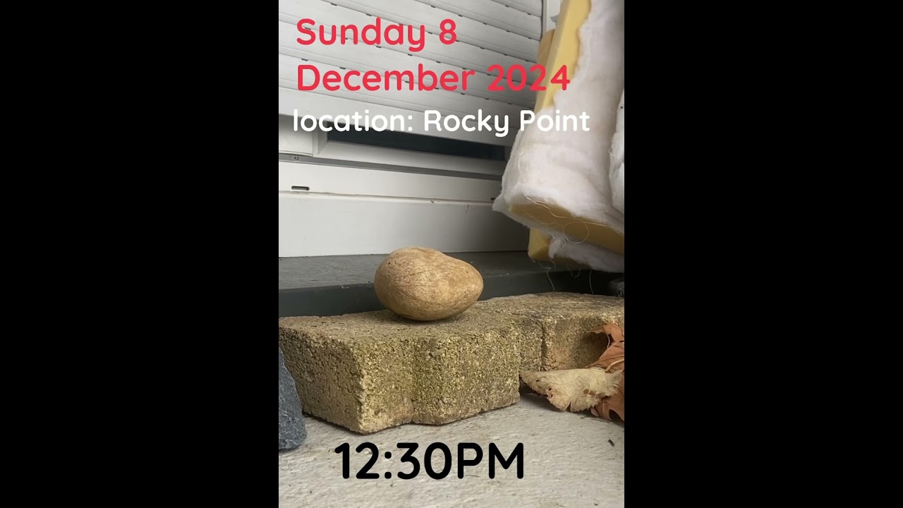 Good Sunday in Rocky point! 