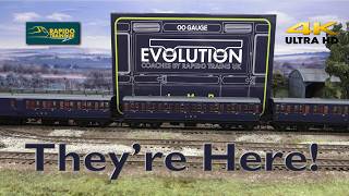 LMR Evolution Coaches