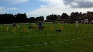 Paul & Pixie - Grade 1,2 Jumping