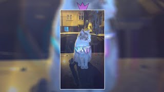 PRESET KECE VIRAL 5MB/XML  || 9:16