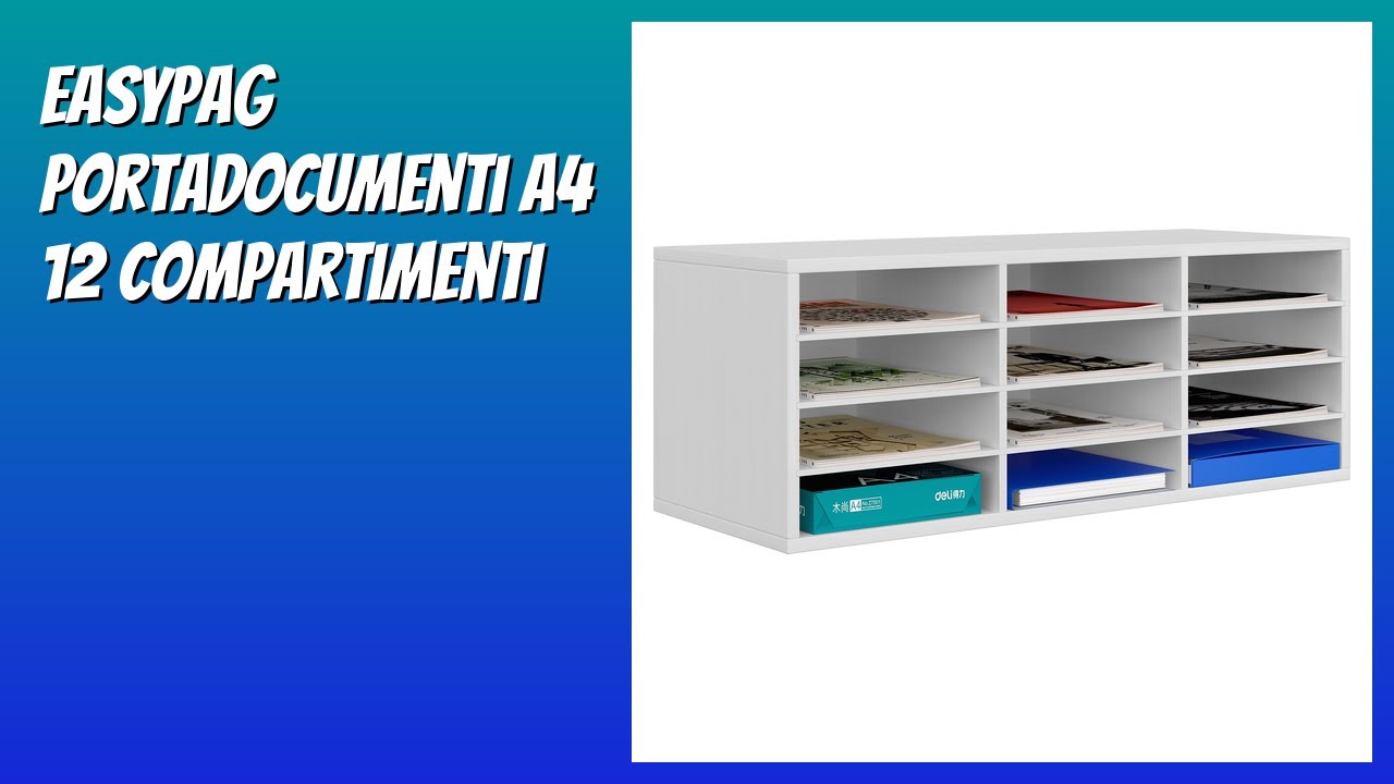 RECENSIONE (2026) : EasyPAG Portadocumenti A4 12 Compartimenti. DETTAGLI