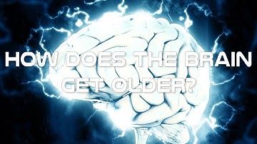 How does the brain get older - Learn the aging process of the brain Crash Course