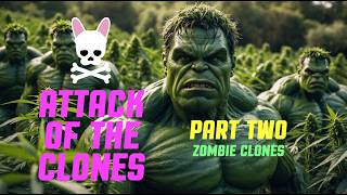 Attack of the Clones - Spider Farmer SF2000