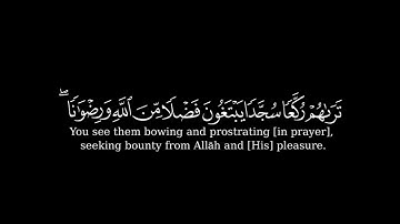 كرومة شاشة سوداء بصوت الشيخ#ياسر_الدوسري#سورة_الفتح
