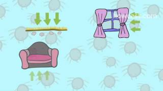 How To Dust Proof Your Home