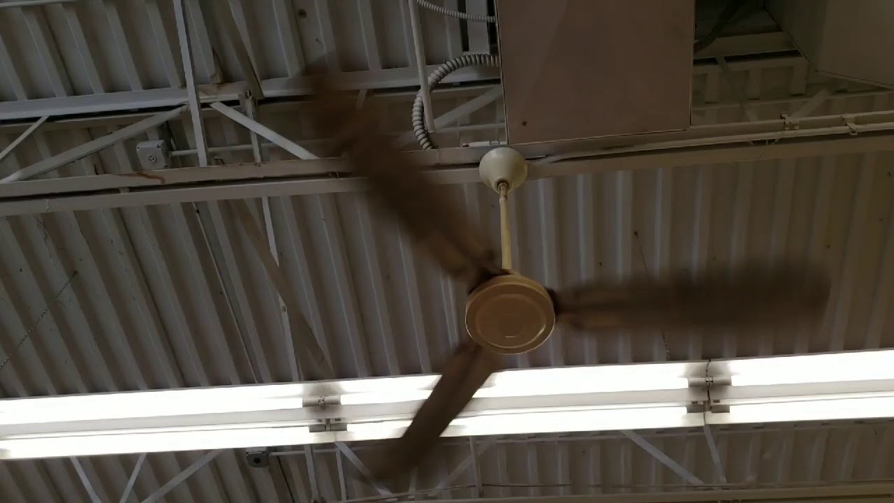 56" Airmaster Safer Industrial Ceiling Fans YouTube