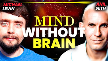 Your Brain Isn’t a Computer and That Changes Everything