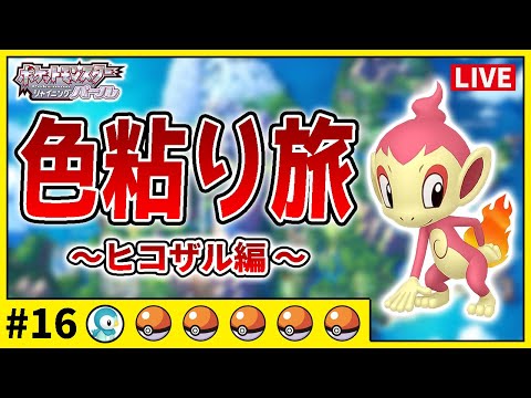 モンコレ ポケモン 色違い ヒコザル ポッチャマ ナエトル 限定 モンコレ ポケモン 色違い ヒコザル ポッチャマ ナエトル 限定
