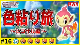 モンコレ ポケモン 色違い ヒコザル ポッチャマ ナエトル 限定 Yahoo!オークション -「ヒコザル モンコレ」の落札相場・落札価格