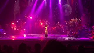 Macavity Cats the Musical BHS 2018