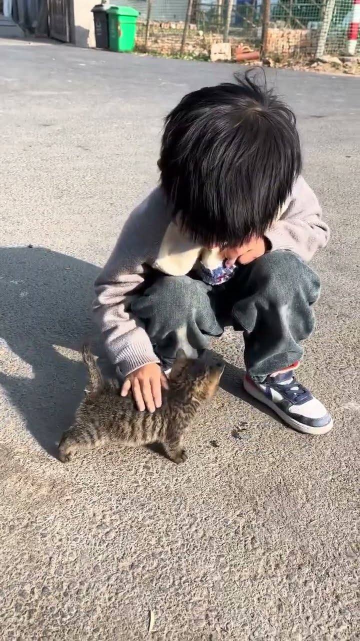 Top des vidéos très mignon ♥️ ❄️ ♥️ ❄️
