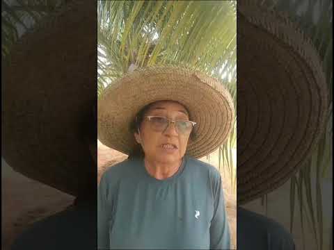 Plantio de coqueiros - Mulheres Rurais