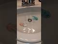 Axolotls Swimming in Sink #funny #axolotl #toy #Swimming