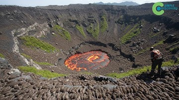 They RELEASED MOLES ON AN ACTIVE VOLCANO – Six Years Later, What Happened SHOCKED THE WORLD