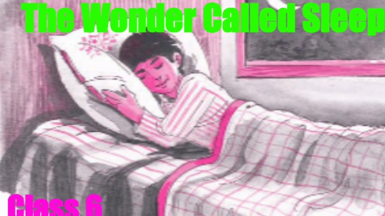 The Wonder Called Sleep NCERT class 6 Chapter 7, A Pact With The Sun YouTube