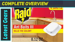 Raid Ant Killer Baits Effective Ant Control? Kitchen Defense Test