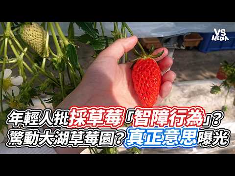 Young People Call "Strawberry Picking" a "Stupid Act"? Dahu Strawberry Farms Alarmed? The True Me...