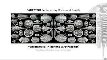Trilobites, Video 3 - EART27201 - Sedimentary Rocks and Fossils