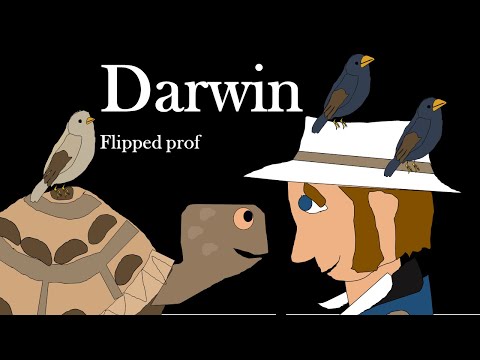 Video: Quali osservazioni fece darwin?