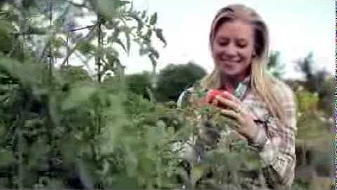 Fresh herbs every day with Fiskars KitchenGarden™