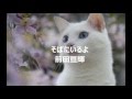 前田亘輝 そばにいるよ 歌詞つき 歌ってみました 前田亘輝 そばにいるよ 歌詞つき 歌ってみました