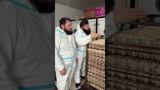 Это кушается ,,,