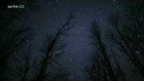 تلاوة رائعة للآيات 11 الأولى من سورة النحل