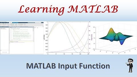 MATLAB Input Function