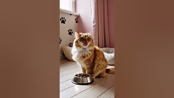 WHISKAS วิสกัส อาหารเปียกแมว ลูกแมว แมวโต แมวสูงวัย 80 ก. (24 ซอง) รับฟร฿43s://s