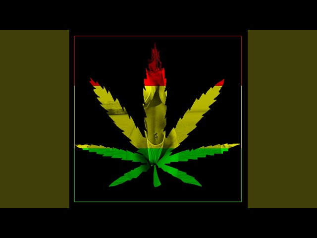 Big Bud Rasta