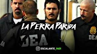 Edicion Especial - La Perra Parida (Corridos 2021)