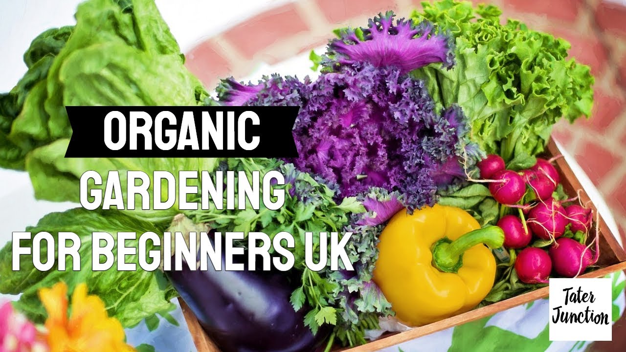 Organic Gardening For Beginners Uk - Organic Gardening Video - YouTube