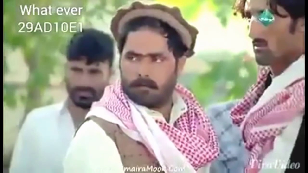 Pathan vs Arabic funny conversation LOL