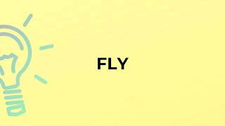 What is the meaning of the word FLY?