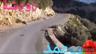 رويشة محمد