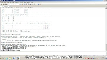 HUAWEI GPON OLT configure multicast service on the Realtek HGU