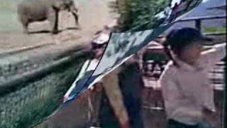 Family Trip To Monterrey, Mexico