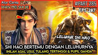 TERUNGKAP ASAL USUL SHI HAO DAN KLAN SHI NYA !! - Donghua PERFECT WORLD WANMEI SHIJIE #WMSJ PART 285