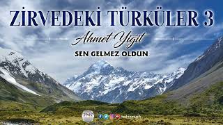 Ahmet Yiğit  / Sen Gelmez Oldun Resimi