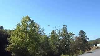 heli with deer93014
